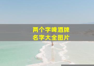 两个字啤酒牌名字大全图片