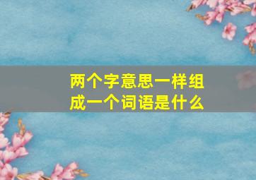 两个字意思一样组成一个词语是什么