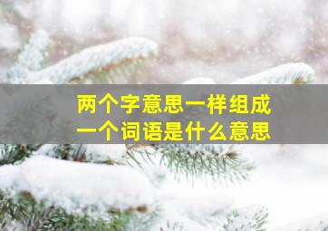 两个字意思一样组成一个词语是什么意思