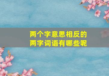 两个字意思相反的两字词语有哪些呢