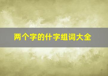 两个字的什字组词大全