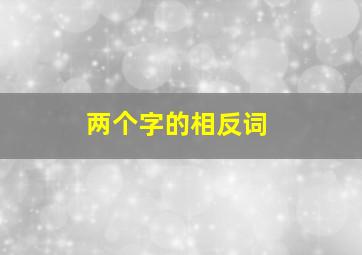 两个字的相反词