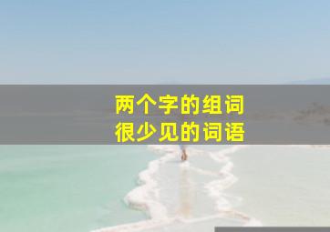 两个字的组词很少见的词语