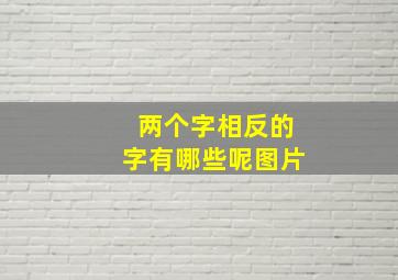 两个字相反的字有哪些呢图片