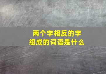 两个字相反的字组成的词语是什么