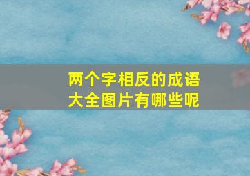 两个字相反的成语大全图片有哪些呢