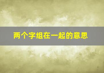 两个字组在一起的意思