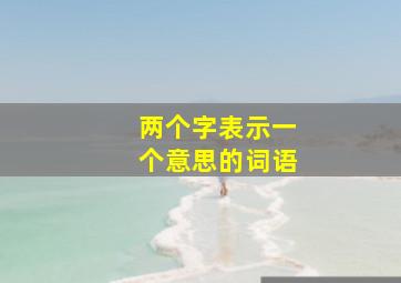 两个字表示一个意思的词语