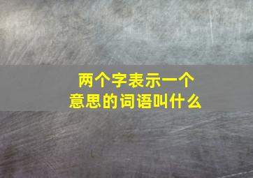 两个字表示一个意思的词语叫什么