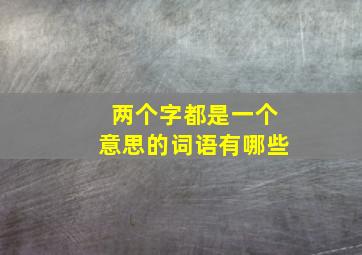 两个字都是一个意思的词语有哪些