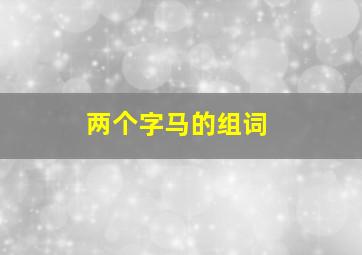 两个字马的组词