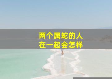 两个属蛇的人在一起会怎样