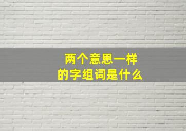 两个意思一样的字组词是什么