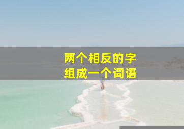 两个相反的字组成一个词语