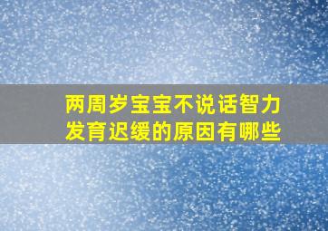 两周岁宝宝不说话智力发育迟缓的原因有哪些