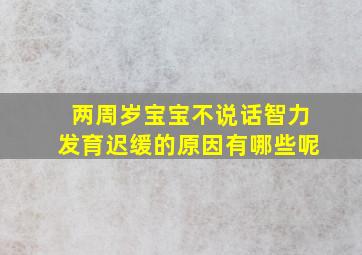 两周岁宝宝不说话智力发育迟缓的原因有哪些呢