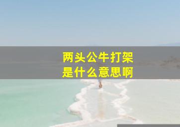 两头公牛打架是什么意思啊