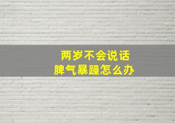 两岁不会说话脾气暴躁怎么办