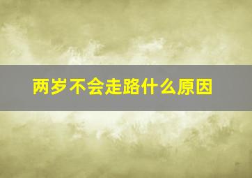 两岁不会走路什么原因