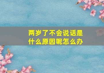 两岁了不会说话是什么原因呢怎么办