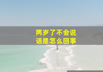 两岁了不会说话是怎么回事