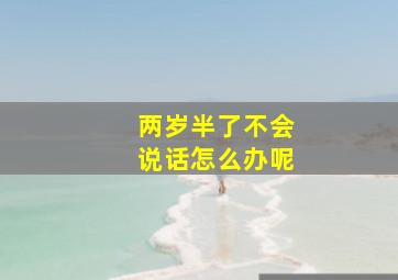 两岁半了不会说话怎么办呢