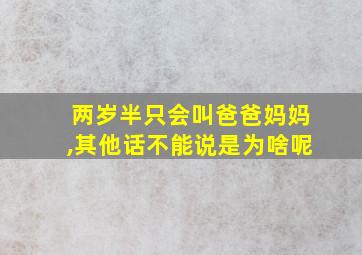 两岁半只会叫爸爸妈妈,其他话不能说是为啥呢