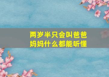 两岁半只会叫爸爸妈妈什么都能听懂