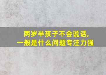 两岁半孩子不会说话,一般是什么问题专注力强