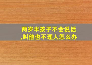 两岁半孩子不会说话,叫他也不理人怎么办