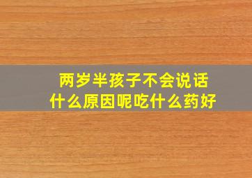 两岁半孩子不会说话什么原因呢吃什么药好