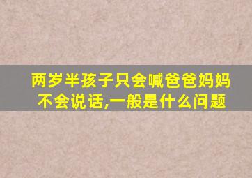 两岁半孩子只会喊爸爸妈妈不会说话,一般是什么问题