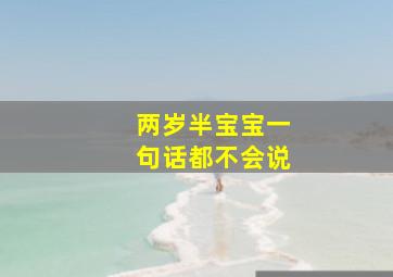 两岁半宝宝一句话都不会说