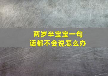 两岁半宝宝一句话都不会说怎么办