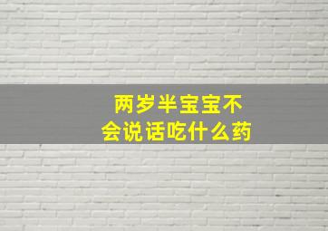 两岁半宝宝不会说话吃什么药