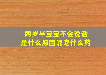 两岁半宝宝不会说话是什么原因呢吃什么药