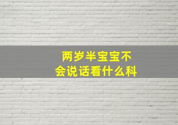 两岁半宝宝不会说话看什么科