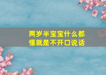 两岁半宝宝什么都懂就是不开口说话