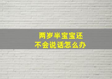 两岁半宝宝还不会说话怎么办