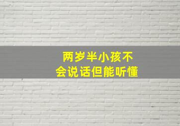 两岁半小孩不会说话但能听懂