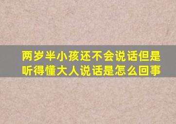 两岁半小孩还不会说话但是听得懂大人说话是怎么回事