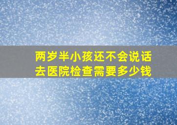 两岁半小孩还不会说话去医院检查需要多少钱