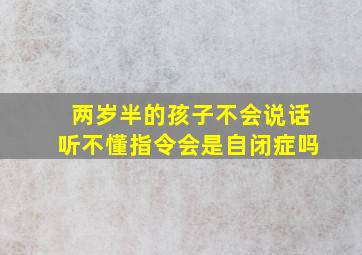 两岁半的孩子不会说话听不懂指令会是自闭症吗