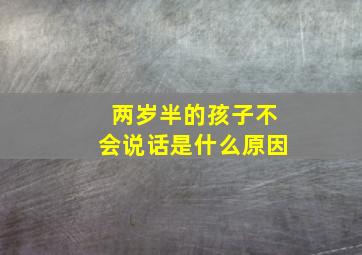 两岁半的孩子不会说话是什么原因