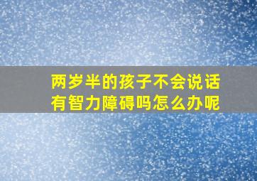 两岁半的孩子不会说话有智力障碍吗怎么办呢