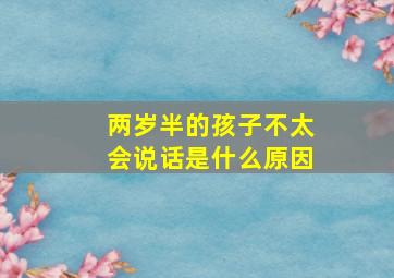 两岁半的孩子不太会说话是什么原因