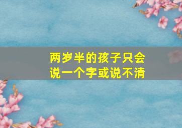 两岁半的孩子只会说一个字或说不清