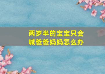 两岁半的宝宝只会喊爸爸妈妈怎么办