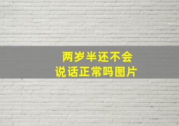 两岁半还不会说话正常吗图片