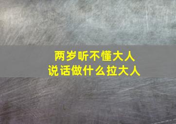 两岁听不懂大人说话做什么拉大人